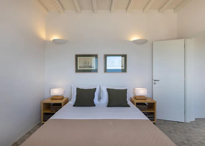 Οrmos Seaside Villa A With Private Pool Tinos